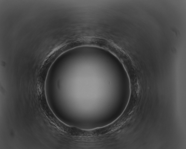 X0000090881206200708031024