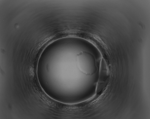 X0000090881209200708031024