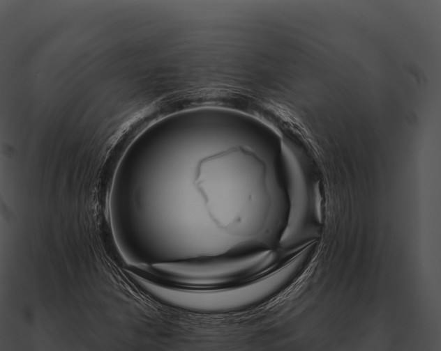 X0000090881210200708031024