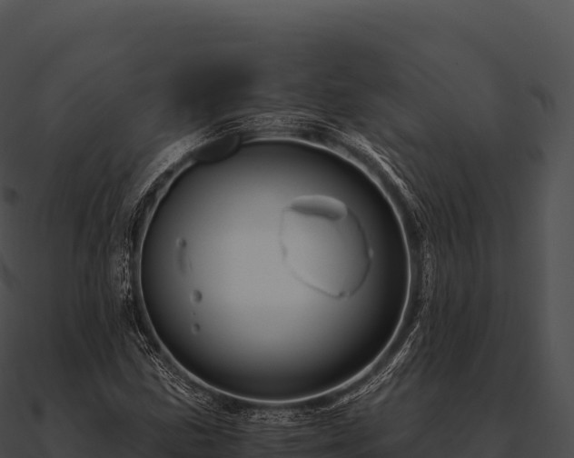 X0000090881211200708031024