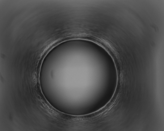 X0000090881212200708031024