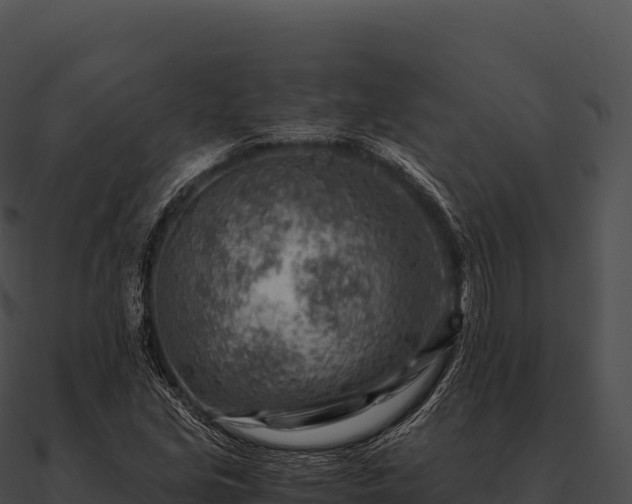 X0000090881213200708031024