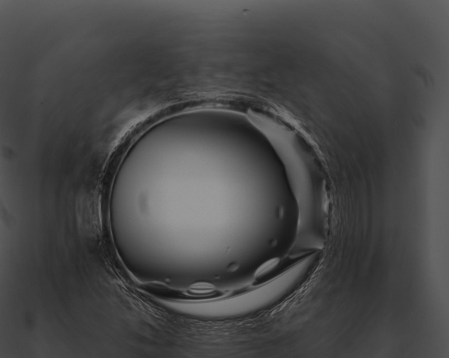 X0000090881214200708031024