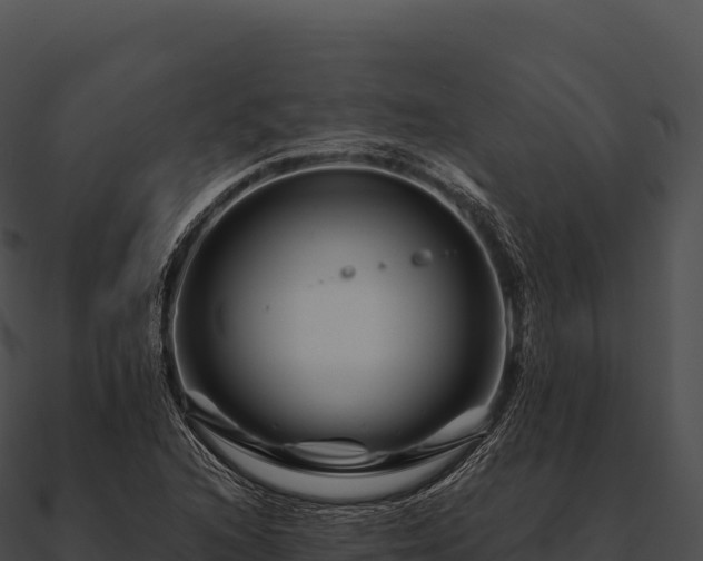 X0000090881216200708031024