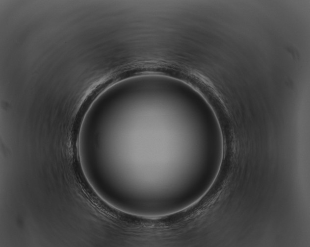 X0000090881218200708031024