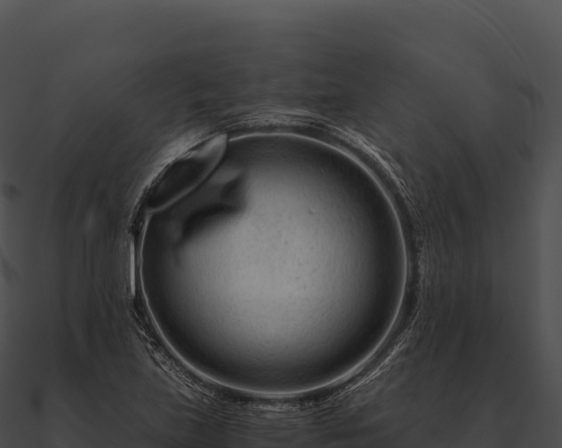 X0000090881219200708031024