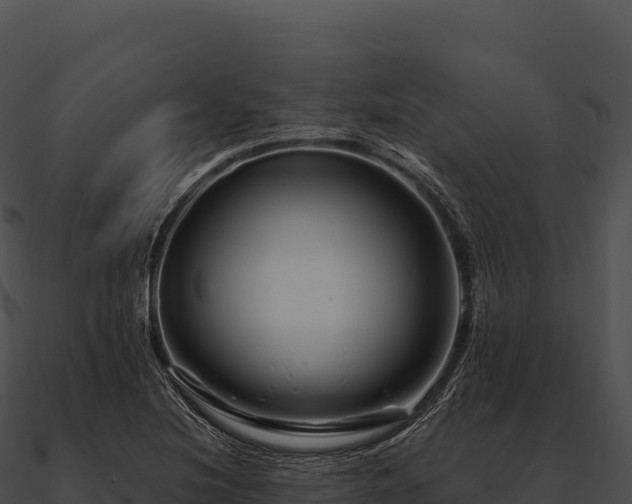 X0000090881220200708031024