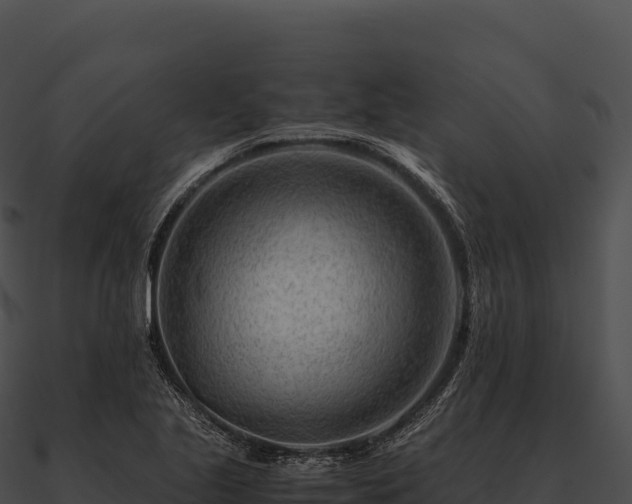 X0000090881221200708031024
