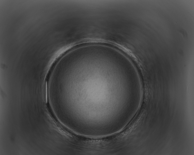 X0000090881223200708031024