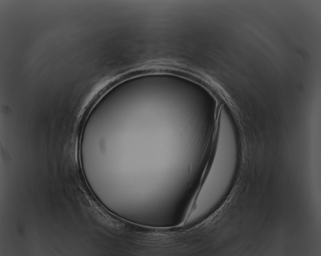 X0000090881224200708031024