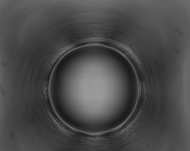 X0000090881225200708031024