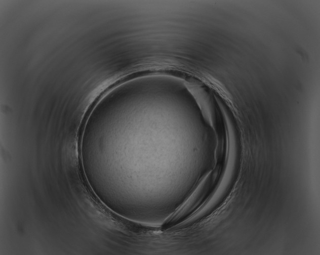 X0000090881226200708031024
