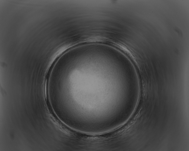 X0000090881227200708031024