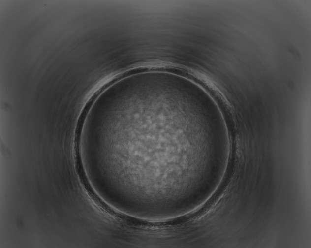 X0000090881229200708031024