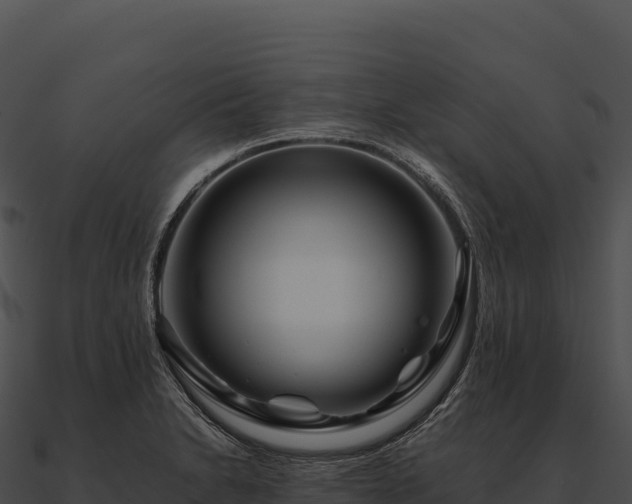X0000090881230200708031024