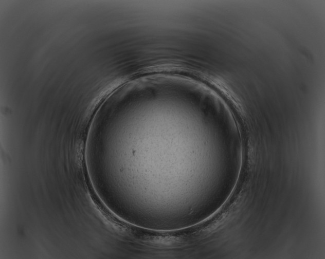 X0000090881233200708031024