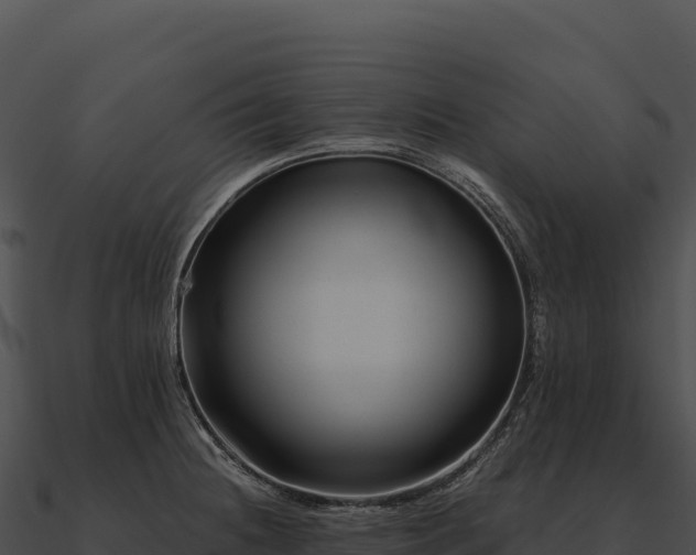 X0000090881236200708031024
