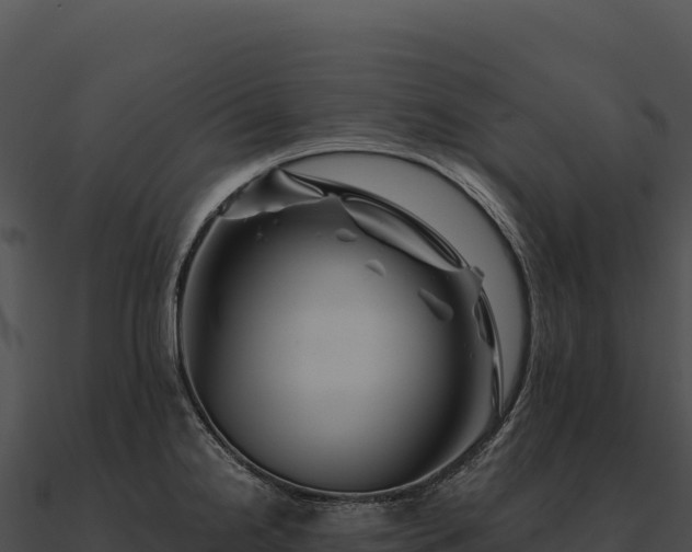 X0000090881238200708031024