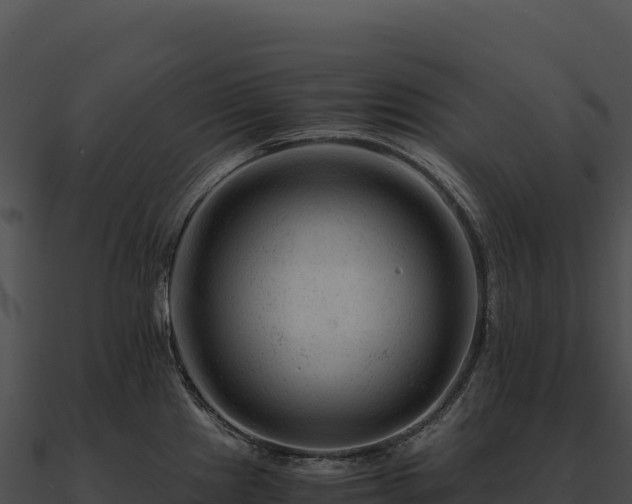 X0000090881241200708031024