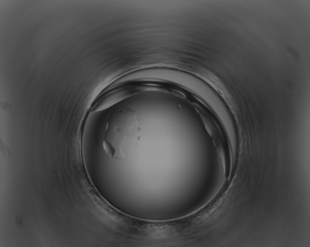 X0000090881242200708031024