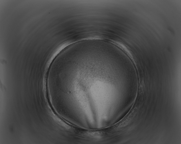 X0000090881243200708031024