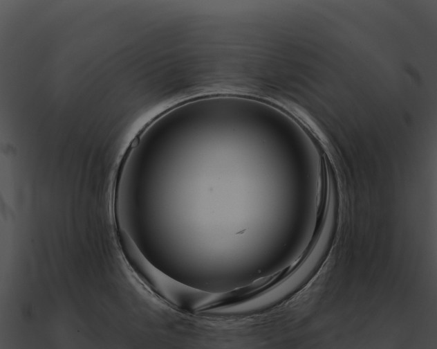 X0000090881246200708031024