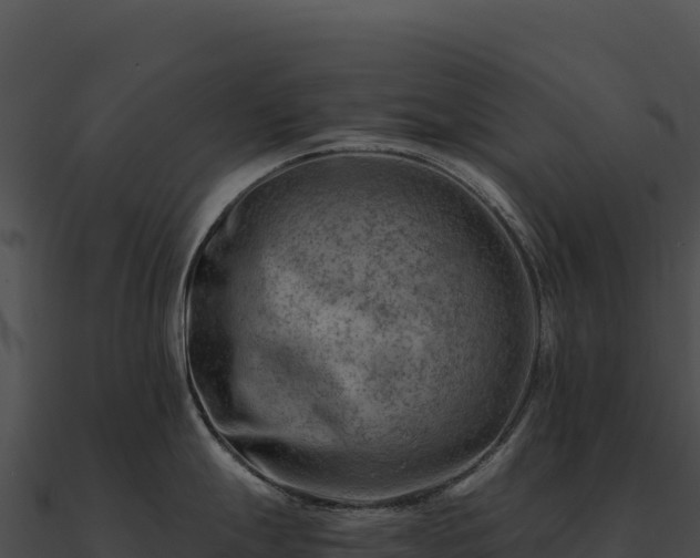 X0000090881247200708031024