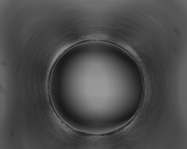 X0000090881248200708031024