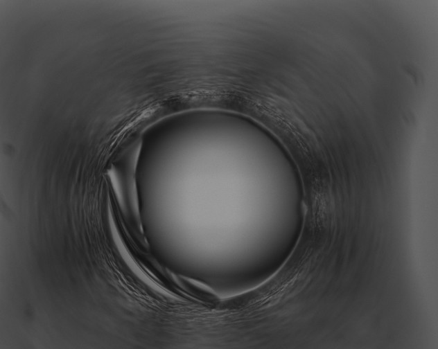 X0000090881250200708031024