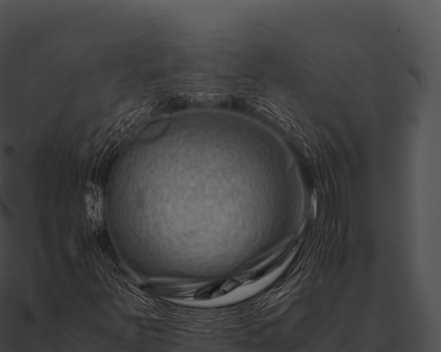 X0000090881251200708031024