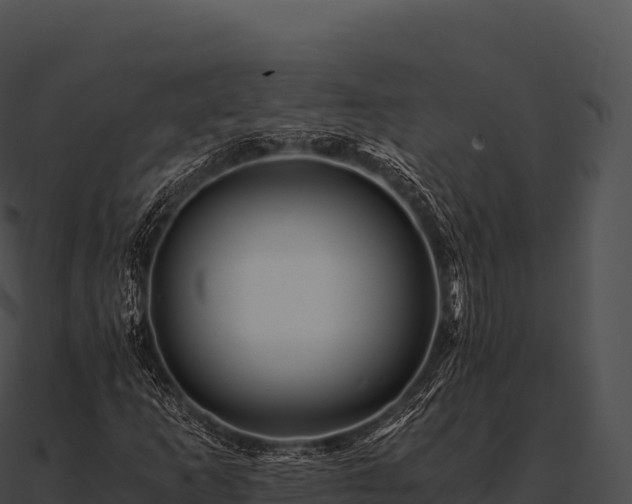 X0000090881253200708031023