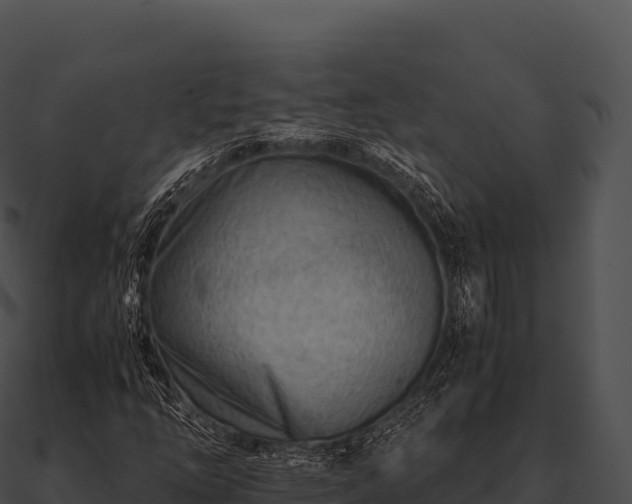 X0000090881254200708031023