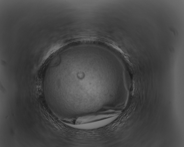 X0000090881255200708031023