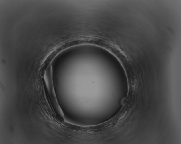 X0000090881256200708031023