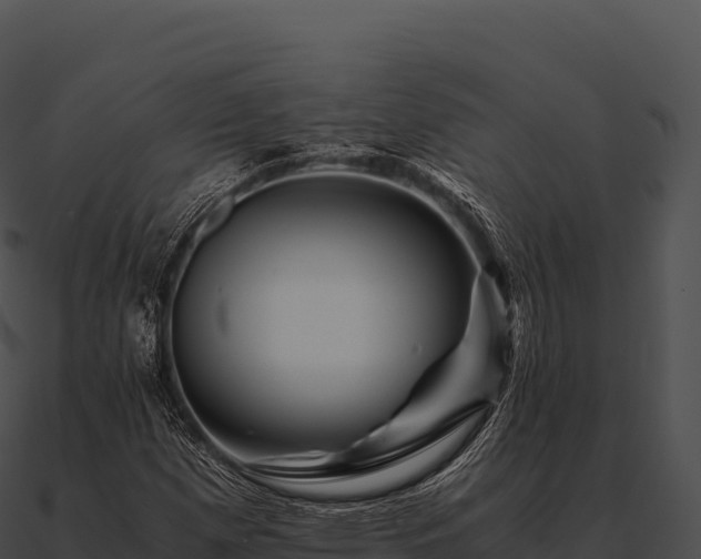 X0000090881257200708031023