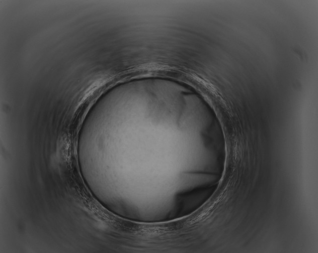 X0000090881258200708031023