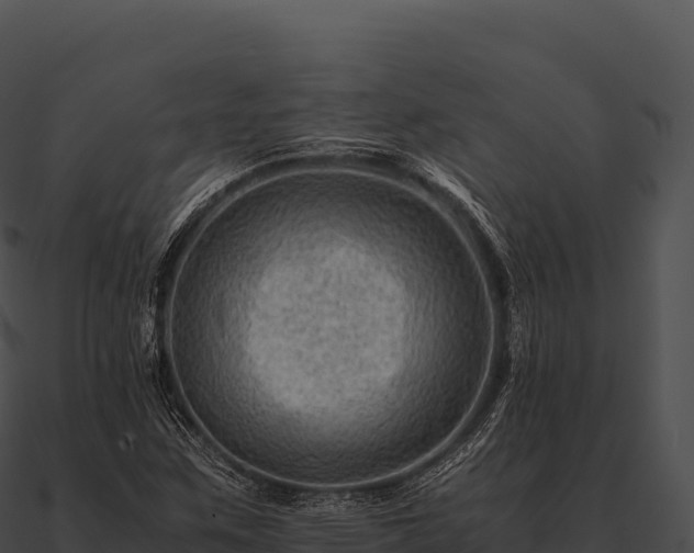 X0000090881259200708031023