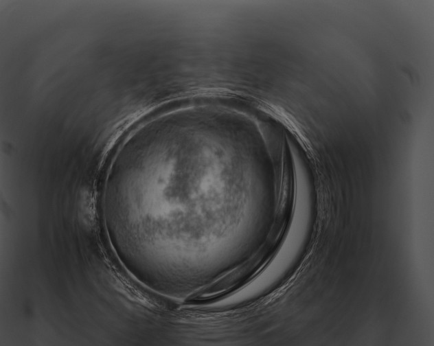 X0000090881260200708031023