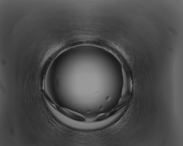 X0000090881261200708031023