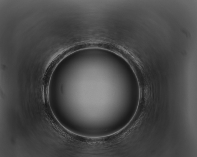 X0000090881262200708031023
