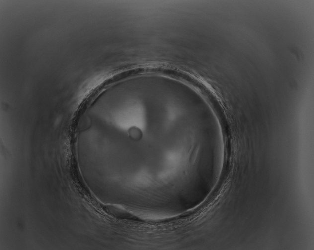 X0000090881263200708031023