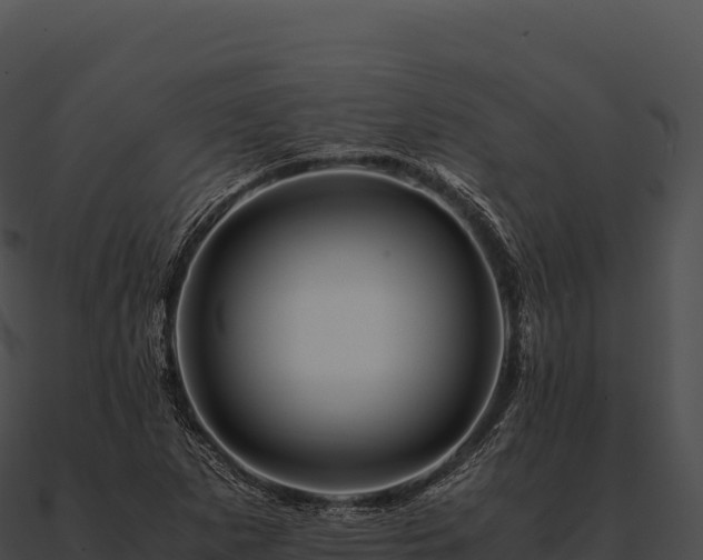 X0000090881265200708031023
