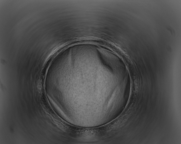 X0000090881266200708031023