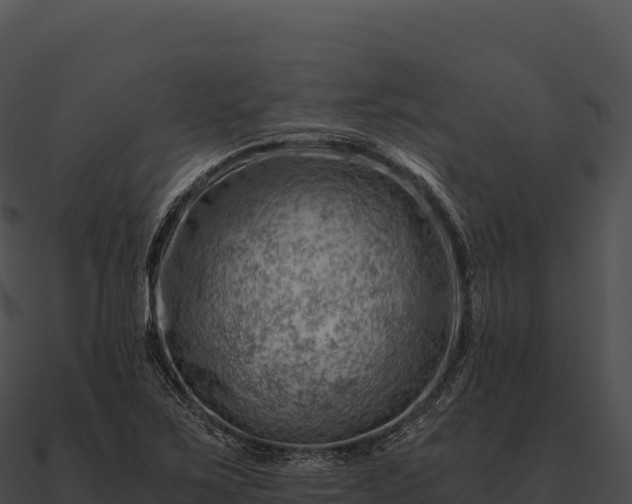 X0000090881267200708031023