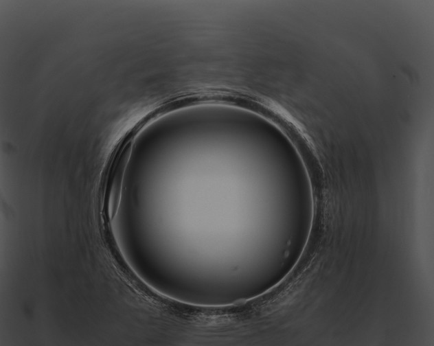 X0000090881269200708031023