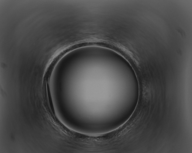 X0000090881270200708031023