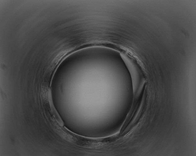 X0000090881273200708031023