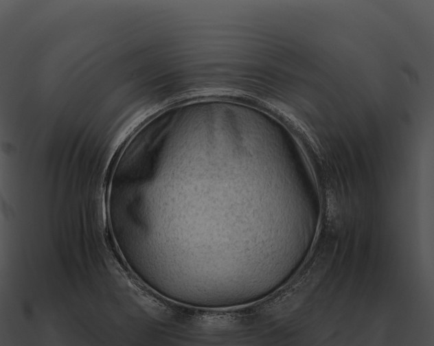 X0000090881274200708031023