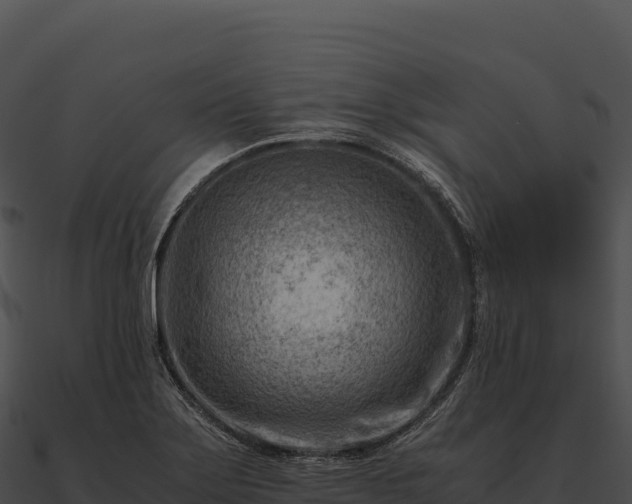 X0000090881275200708031023