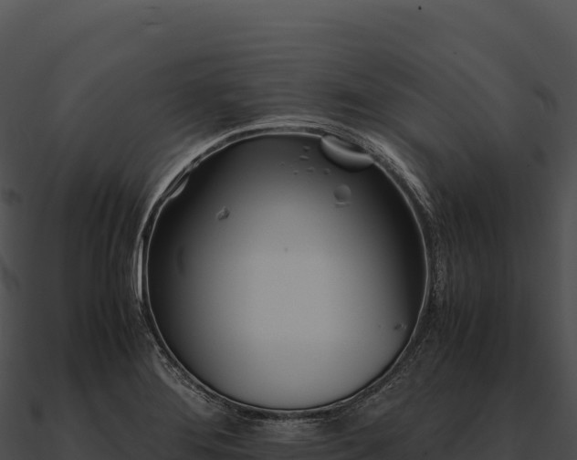 X0000090881276200708031023